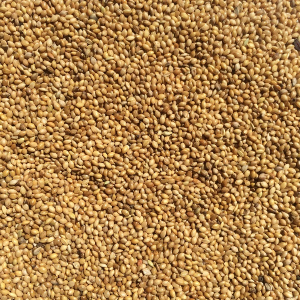 Japans Millet 2,5 kg