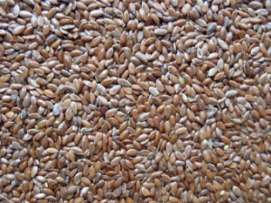 Lijnzaad geel 1000 gr