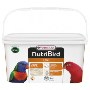 Nurtibird Lori  3 kg